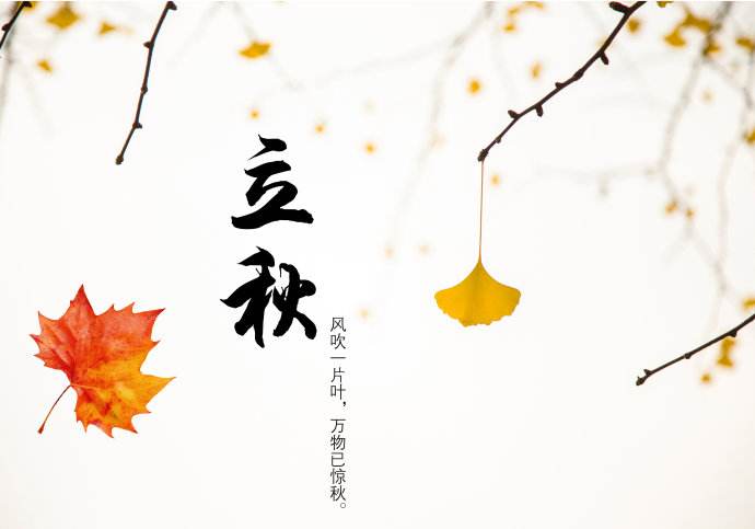 今日立秋，青島瑞普特分享立秋小知識